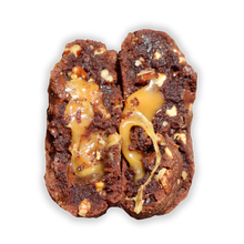 Load image into Gallery viewer, Caramel Turtle
