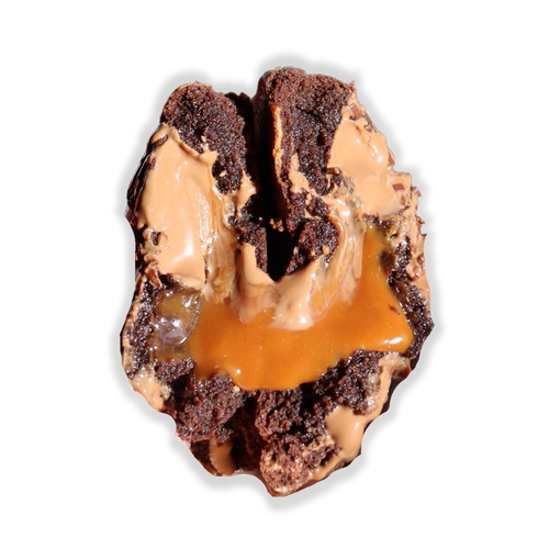 Chocolate Caramel Truffle